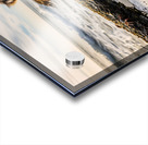 Australian Shepherd Puppy Discovers Tide Pools Acrylic print