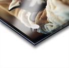 Sleepy Husky Puppy Naps In Laundry Nest Acrylic print