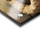 Sleepy Husky Puppy Napping In Corner Of Giant Bed Acrylic print