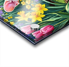 French Bulldog Puppy Discovers Spring Garden Acrylic print