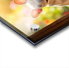 French Bulldog Puppy Celebrates Garden Door Success Acrylic print