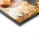 Proud Corgi Pup Admires Digging Achievement Acrylic print