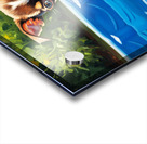 Chihuahua Puppy Discovers The Pool Acrylic print