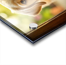 Curious Puppy Discovers Cat Flap Door Acrylic print