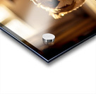 Sleepy Shih Tzu Puppy Ready For Bedtime Acrylic print