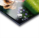 Shih Tzu Puppy Plays With Rope Toy In Garden Acrylic print