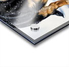 German Shepherd Puppy Discovers Fresh Snow Acrylic print