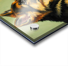 German Shepherd Puppy Meets Sleeping Cat Acrylic print