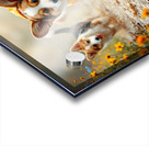 Corgi Puppy Ready For Rainy Day Adventure Acrylic print