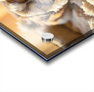 Peaceful Shih Tzu Puppy Sleeping Soundly Acrylic print