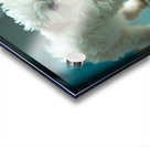 Bichon Frise Puppy Discovers His Reflection Acrylic print