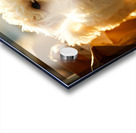 Playful Bichon Frise Puppy With Paper Bag Toy Acrylic print