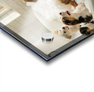 Labrador Puppys First Bath Time Adventure Acrylic print