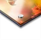 Chihuahua Puppy Discovers A Yellow Dandelion Acrylic print