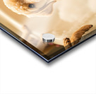 Peaceful Labrador Puppy Enjoying Calm Bath Time Acrylic print