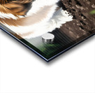 Shih Tzu Puppy Ready To Help In The Garden Acrylic print