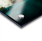 Happy Poodle Puppy Sitting By Blue Curtains Acrylic print