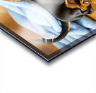 Sleepy Dachshund Puppy Napping Under Cozy Blue Blanket Acrylic print