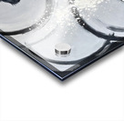 Border Collie Puppys First Cooking Adventure Acrylic print