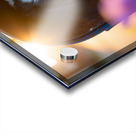 Border Collie Puppy Discovers Perfect Hiding Spot Acrylic print