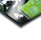 Border Collie Puppy Ready To Chase Acrylic print