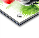 Border Collie Puppy Discovers A Big Red Hat Acrylic print