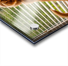 Golden Retriever Puppy Watches Rain Through Window Acrylic print