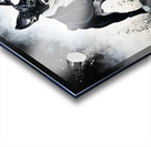 Boston Terrier Puppy Discovers Amazing Sand Castle Acrylic print