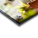 Sleepy Cane Corso Puppy Dreams Of Christmas Adventures Acrylic print