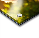 Golden Retriever Puppy Discovers Ice Cream Treat Acrylic print