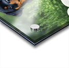 Determined Rottweiler Puppy Ready To Resume Reading Acrylic print