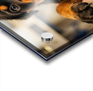 Rottweiler Puppys First Vet Visit Acrylic print