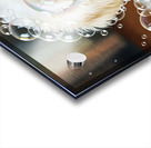 Happy Poodle Puppy After Bubble Adventure Acrylic print