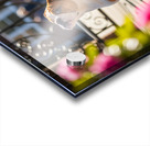 Bulldog Puppy Waits By School Gate Acrylic print