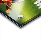 Beagle Puppy Claims Victory On The Hill Acrylic print