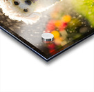 Poodle Puppy Discovers Garden Sprinkler Acrylic print