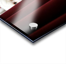 Poodle Puppy Plays Hide And Seek Behind Curtain Acrylic print