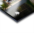 Bulldog Puppy Jumps With Joy At School Gate Acrylic print