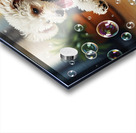 Poodle Puppy Discovers Bath Bubbles Acrylic print