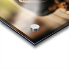 Happy Dachshund Puppy As Storm Clears With Rainbow Acrylic print