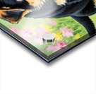 German Shepherd Puppy Discovers Perfect Digging Spot Acrylic print