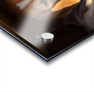 Beagle Puppy Listens From Hidden Box Fort Acrylic print