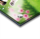 Shih Tzu Puppy Discovers Falling Raindrops In Garden Acrylic print