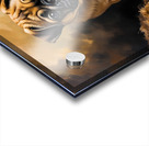 Pug Puppy Falls Asleep After Evening Entertainment Acrylic print