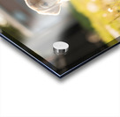 Patient Puppy Rests While Maintaining His Faithful Watch Acrylic print