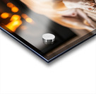 Chihuahua Puppy Falls Asleep By The Fire Acrylic print