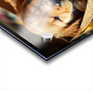 Golden Retriever Puppy Ready To Leave Box Fort Acrylic print