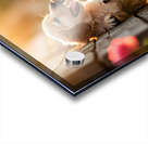 Golden Puppy Happy With New Fence Friend Acrylic print