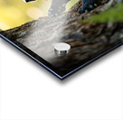 Cane Corso Puppy Spots Squirrel At Tree Base Acrylic print