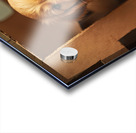 Golden Retriever Puppy Discovers Perfect Hiding Spot Acrylic print